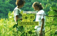 VerDebate: o debate de opiniões verdes da internet! #1