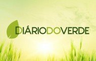 6 anos de existência: Parabéns, Diário do Verde! ^^